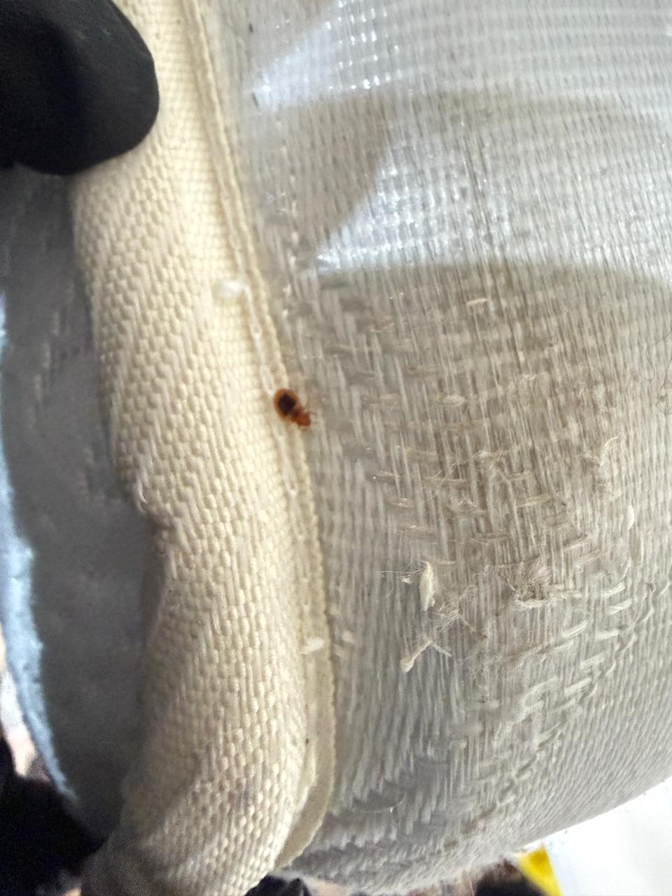 Image gallery marquee