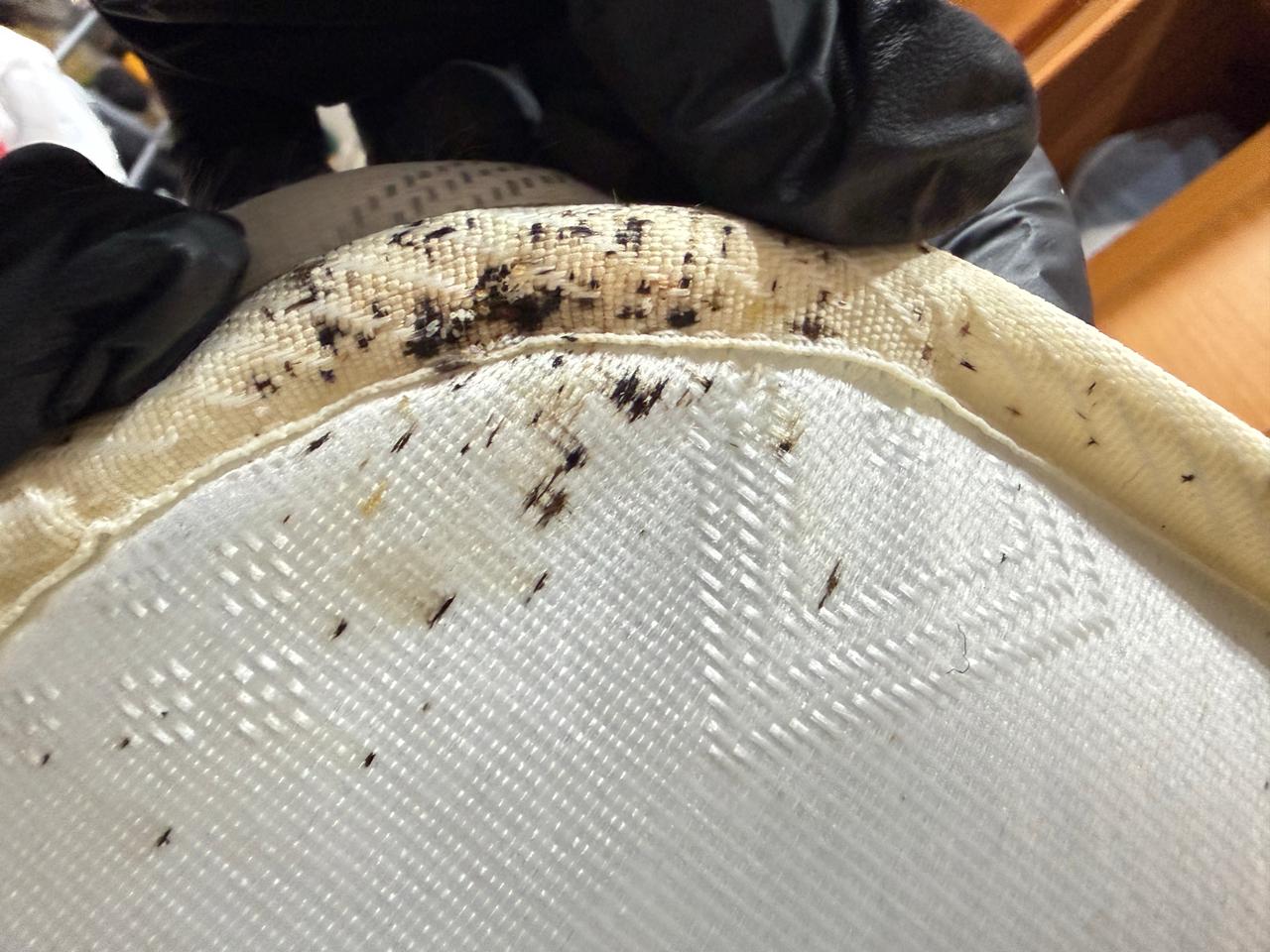 Image gallery marquee