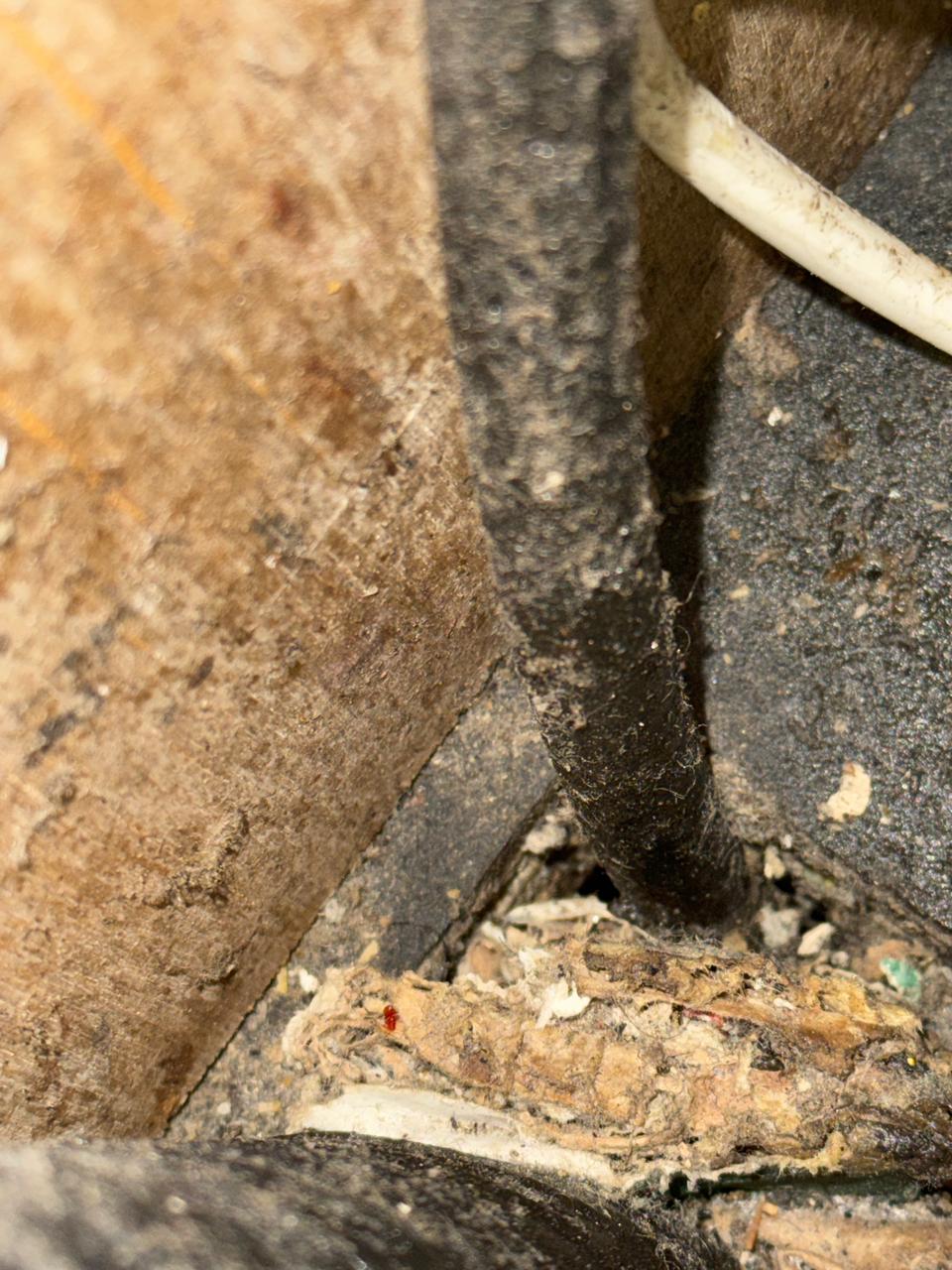 Image gallery marquee