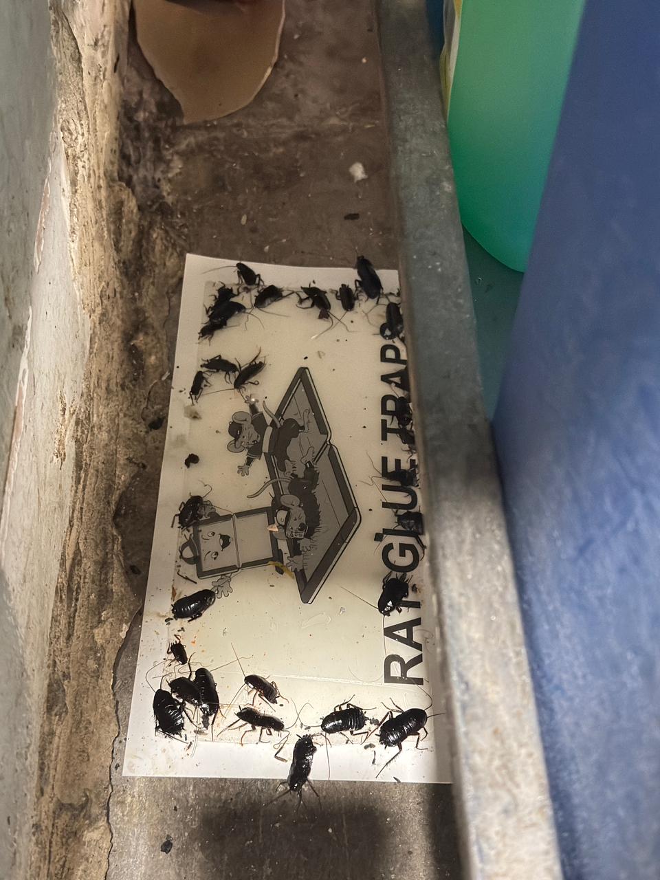 Image gallery marquee