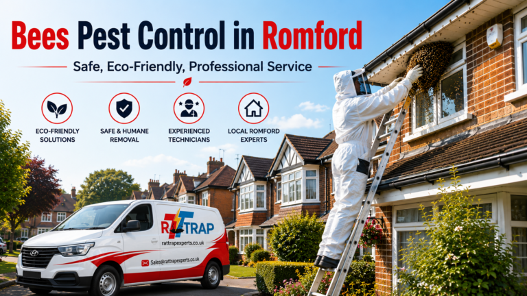 Bees Pest Control in Romford: Safe Prevention with Rat Trap Services Support
