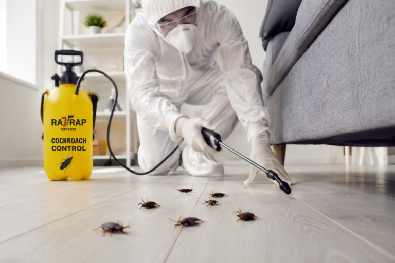 Cockroach Exterminator in Ilford | Rat Trap Experts