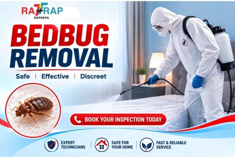 Bedbug Removal in Stratford | Rattrap experts, London