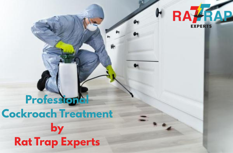 Professional Cockroach Removal in Woolwich by rat trap experts