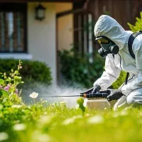 Pest control expert spraying garden exterior, Woolwich