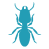 termite